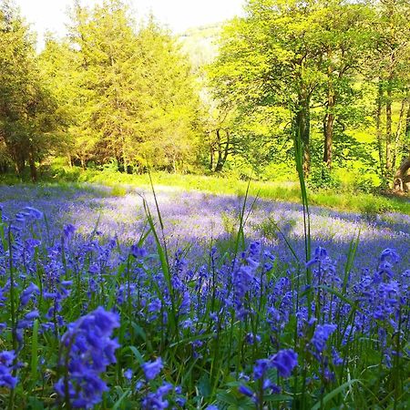 Lobhill Farmhouse Bed And Breakfast And Self Catering Accommodation Okehampton Bagian luar foto