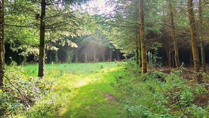 Lobhill Farmhouse Bed And Breakfast And Self Catering Accommodation Okehampton Ruang foto