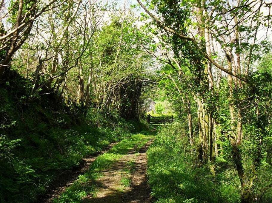 Lobhill Farmhouse Bed And Breakfast And Self Catering Accommodation Okehampton Ruang foto